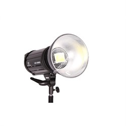 Светодиодный LED осветитель FST EF-100 LED 5500K - фото 101114