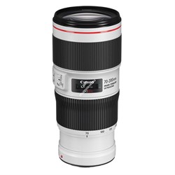 Объектив Canon EF 70-200mm f/4L IS II USM - фото 102319