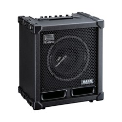 Roland CUBE-60 XL BASS - басовый комбоусилитель, 60 Вт, 10", 8 COSM-моделей усилителей, 7 эффектов - фото 117314