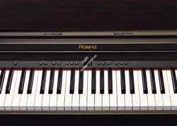 ROLAND RP501R-CR - цифровое фортепиано,88 кл. PHA-4 Standard, 316 тембров, 128 полиф., палисандр. - фото 118395