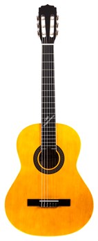 ARIA FIESTA FST-200 N W/B Гитара классическая, верх: американская липа, в комплекте чехол - фото 142062