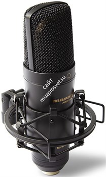 MPM2000U / Конденсаторный микрофон с большой диафрагмой, USB / MARANTZ - фото 149095