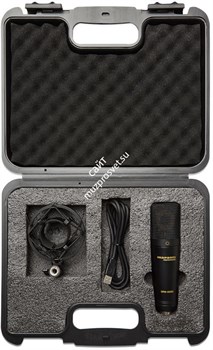MPM2000U / Конденсаторный микрофон с большой диафрагмой, USB / MARANTZ - фото 149097