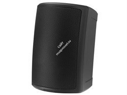 Tannoy AMS 5ICT акустическая система, чёрная, 5", 100Вт/16Ом. Трансформатор 70В/100В - 30Вт, 15Вт, 7.5Вт, 3.75Вт, Частотный диапазон 90Гц - 22кГц -3дБ, крепление Yoke в комплекте, Вес 3,3кг, IP65 - фото 153102