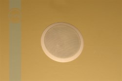Экономичная встраиваемая потолочная двухполосная акустическая система 1,5/3/6W, 100V, круглая, белая - фото 155174