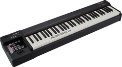 Roland RD64 - сценическое цифровое пианино, 64 кл. Ivory Feel-G, 12 тонов SuperNATURAL, 128 полиф. - фото 159593