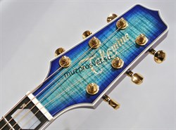 TAKAMINE TSP178ACSBB электроакустическая гитара, в комплекте кейс - фото 160948