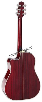 TAKAMINE CP6SSDC электроакустическая гитара, в комплекте кейс - фото 165511