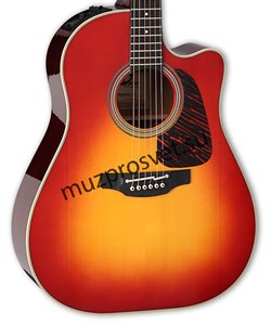 TAKAMINE CP6SSDC электроакустическая гитара, в комплекте кейс - фото 165512