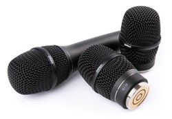 DPA 2028-B-B01 суперкардиоидный вокальный микрофон, 100 - 16000 Гц, Max.SPL 160 дБ, 5mV/Pa - фото 168869
