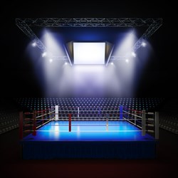 Светодиодный видеоэкран для боксёрского ринга с возможностью удалённого обновления контента - фото 208374