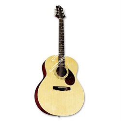 GREG BENNETT GJ100S/N - акустическая гитара, корпус джамбо, ель, цвет натуральный - фото 21537