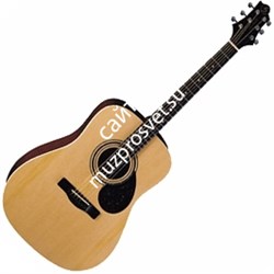GREG BENNETT D2/N - акустическая гитара, дредноут, ель, цвет натуральный - фото 35054