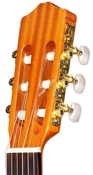 CORDOBA PROT?G? C1, классическая гитара, топ - ель, дека - махагони, цвет - натуральный, чехол в комплекте - фото 42792
