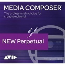 Avid Media Composer Perpetual | Symphony Option - фото 54467
