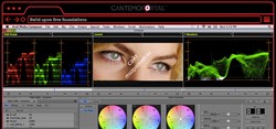 Cantemo Avid Media Composer integration 5 user licenses - фото 55606