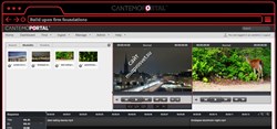 Cantemo CP Migration Tool - фото 55613
