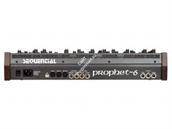 Dave Smith Prophet-6 Module - фото 55726