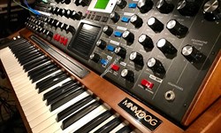 Moog Minimoog Voyager XL - фото 56802