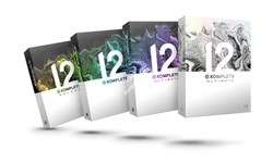 Native Instruments Komplete 12 Ultimate - фото 57338