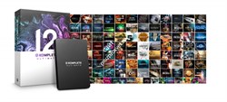 Native Instruments Komplete 12 Ultimate - фото 57341