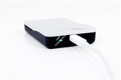 Promise Pegasus J2 - 256Gb WIN - фото 57882