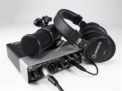 Steinberg UR22 mkII Recording Pack - фото 60327