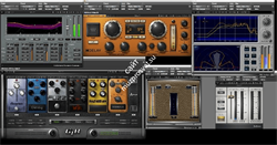 Waves Gold bundle - фото 61825