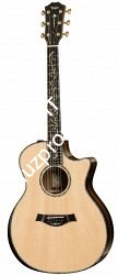 TAYLOR PS14ce Presentation Series, гитара электроакустическая, форма корпуса Grand Auditorium, кейс - фото 64754