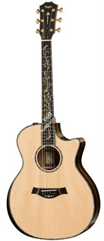 TAYLOR PS14ce Presentation Series, гитара электроакустическая, форма корпуса Grand Auditorium, кейс - фото 64755