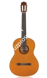 CORDOBA PROT?G? C1M классическая гитара, корпус махогани, верхняя дека ель, цвет натуральный, покрытие матовое - фото 65085