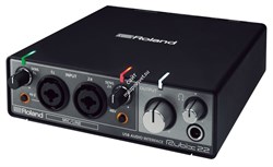 Roland Rubix22 внешний аудио интерфейс, 24 бит/192кГц, 2 вх./2 вых., USB, MAC/PC/iPad - фото 66517