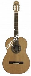 MANUEL RODRIGUEZ CABALLERO 12 Классическая гитара, топ - массив кедра, корпус - бубинга - фото 71883