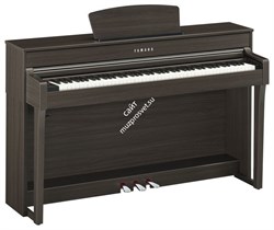 YAMAHA CLP-635DW Цифровое пианино серии Clavinova - фото 74296