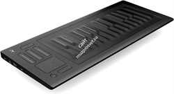 ROLI RISE 25 клавишный инструмент (демо образец, не для продажи) - фото 77035