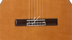 CORDOBA IBERIA C7-CE, классическая гитара, топ - канадский кедр, дека - палисандр, звукосниматели Fishman - фото 86108