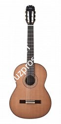 MANUEL RODRIGUEZ MR JR. MADAGASCAR Классическая гитара, топ из кедра или ели, задняя дека и обечайка - массив палисандра, наклад - фото 89034