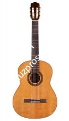 CORDOBA IBERIA C5 Limited классическая гитара, корпус огненный махогани, верхняя дека массив кедра, цвет натуральный - фото 93772