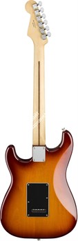 FENDER PLAYER STRAT HSH PF TBS Электрогитара, цвет темный берст - фото 95215