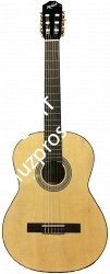 ROCKDALE MODERN CLASSIC 100-N классическая гитара с анкером, верхняя дека - агатис, нижняя дека и обечайки - агатис, гриф - фото 96491