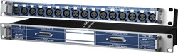 RME BOB-16 I - модуль расширения, 16 XLR вх <> 2 x Dsub 25pin вых (каналы 1-8 и 9-16), 19",складываемый - 1U или 2U. - фото 9705
