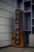 Фронтальные напольные громкоговорители:Reezoldini Master SE Фронтальные напольные громкоговорители:Reezoldini Master SE
