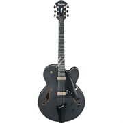 IBANEZ AFC125-BKF Archtop, полуакустическая электрогитара, цвет черный IBANEZ AFC125-BKF Archtop, полуакустическая электрогитара, цвет черный