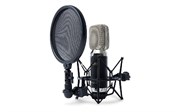 MPM3500R / Ленточный микрофон, элемент: ленточный, Диаграмма направленности: Диполь / MARANTZ