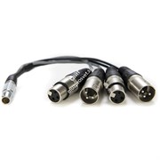 Atomos Lemo to XLR Breakout cable (In/Out)