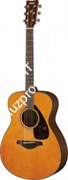 YAMAHA FS800T акустическая гитара, цвет TINTED