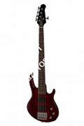 GIBSON 2019 EB Bass 5 String Wine Red Satin бас-гитара, цвет красный в комплекте чехол