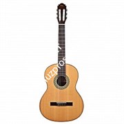 MANUEL RODRIGUEZ C11 Sapele классическая гитара, верхняя дека - массив кедра, корпус - сапеле, накладка на гриф - палисандр, цве