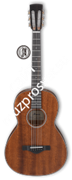 IBANEZ ArtWood AVN9-OPN акустическая гитара