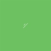 Бумажный фон Colortone 2.75*11m/Tech Green Зеленый BDSV-2.75-46